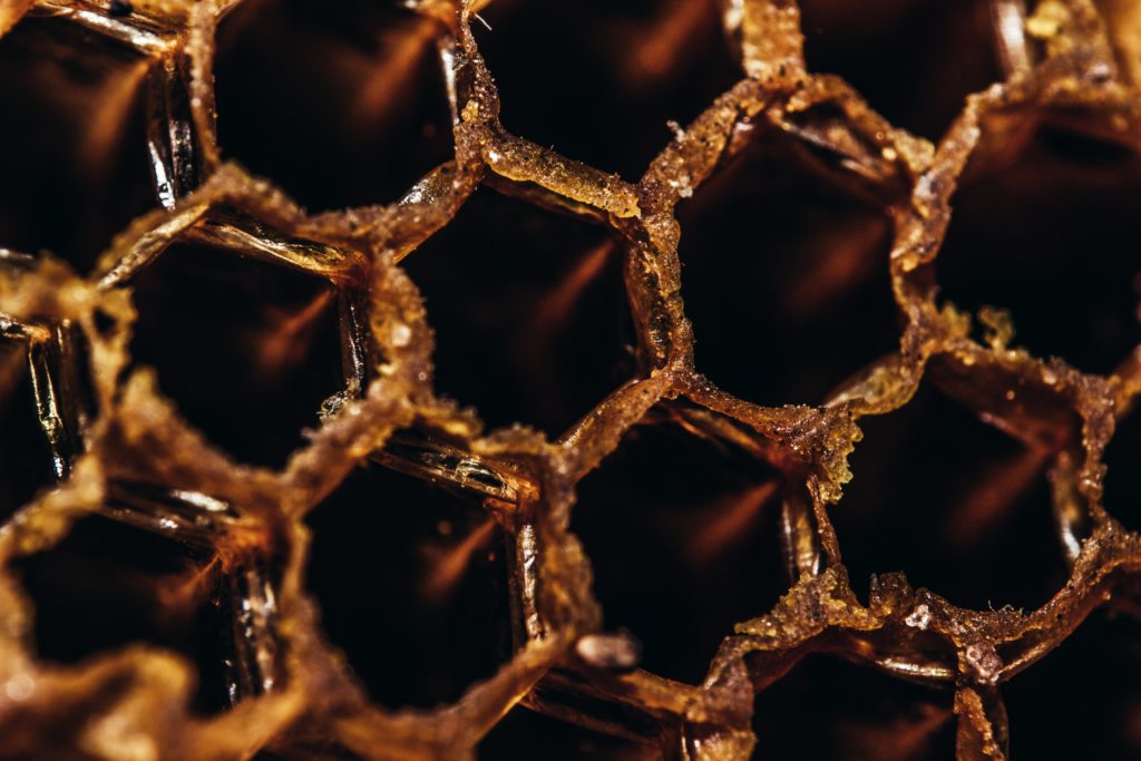 Close-up of honeycomb