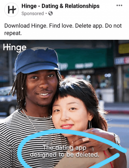 Hinge microcopy example